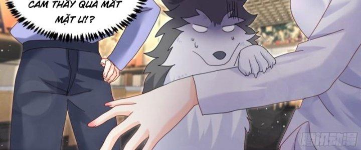 Trọng Sinh Thành Chó Của Nữ Thần Chapter 293 - Trang 3