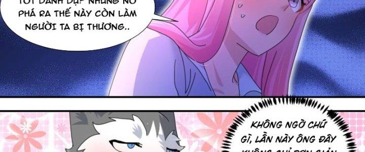 Trọng Sinh Thành Chó Của Nữ Thần Chapter 293 - Trang 3