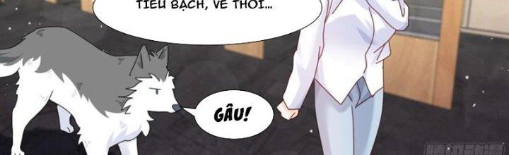 Trọng Sinh Thành Chó Của Nữ Thần Chapter 293 - Trang 3