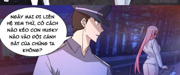 Trọng Sinh Thành Chó Của Nữ Thần Chapter 293 - Trang 3