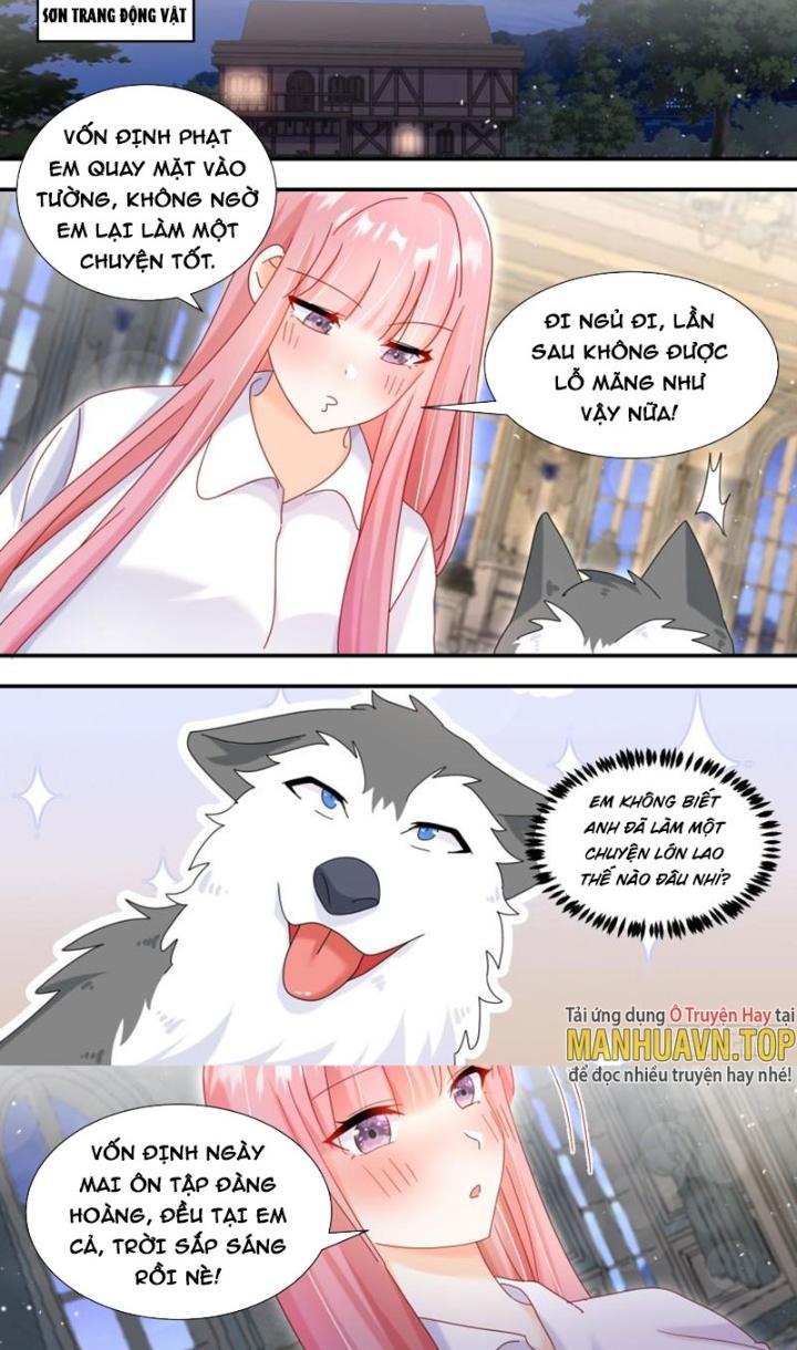 Trọng Sinh Thành Chó Của Nữ Thần Chapter 294 - Trang 3