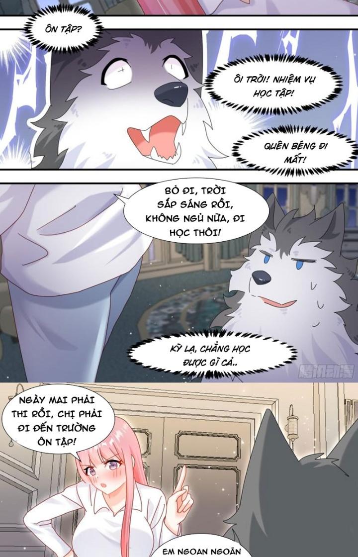 Trọng Sinh Thành Chó Của Nữ Thần Chapter 294 - Trang 3