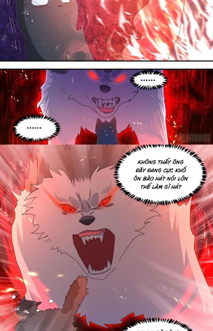 Trọng Sinh Thành Chó Của Nữ Thần Chapter 294 - Trang 3