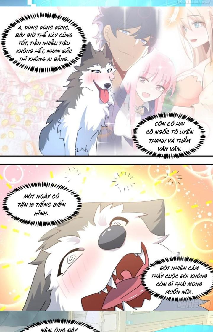 Trọng Sinh Thành Chó Của Nữ Thần Chapter 294 - Trang 3