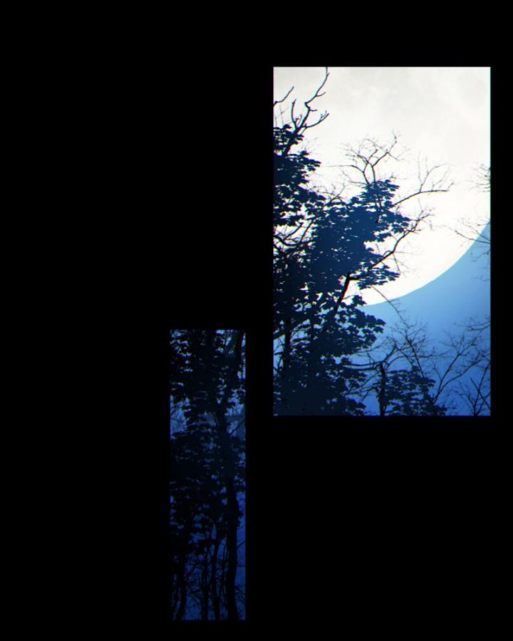 Ngài Hoàn Toàn Không Tiết Lộ Sao? Chapter 10 - Trang 2