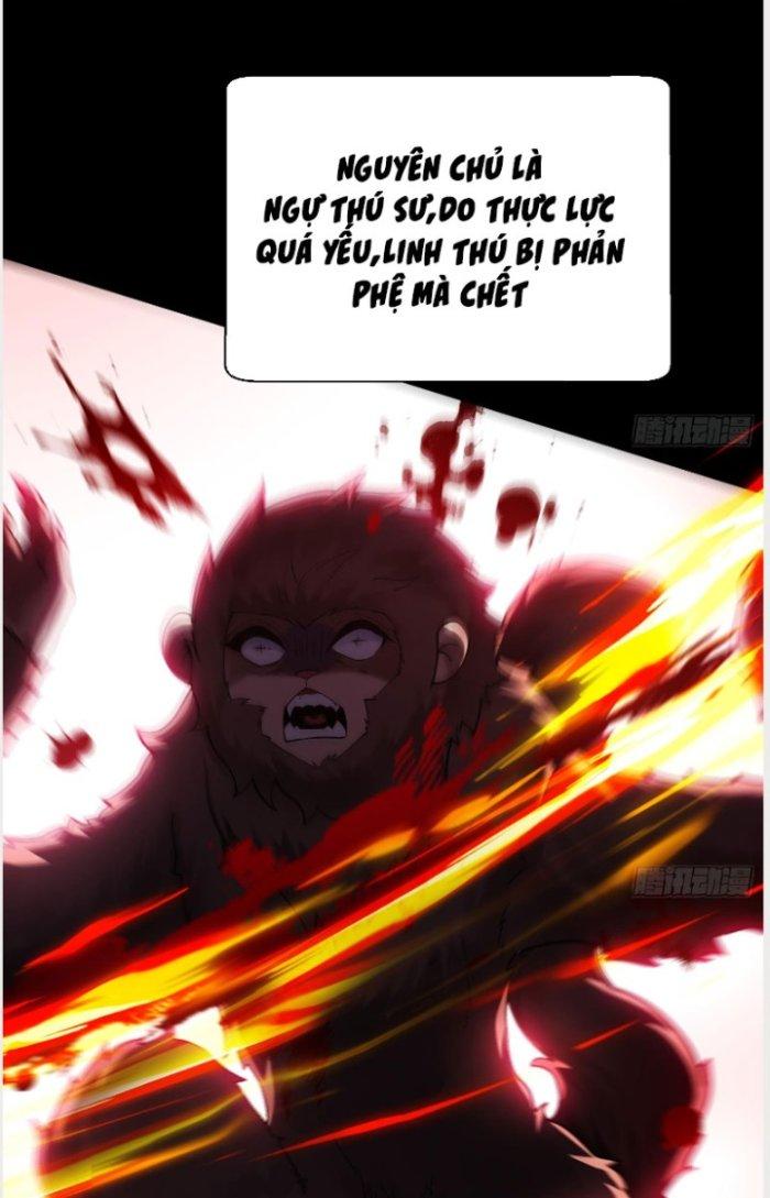 Thần Cấp Khế Ước: Bắt Đầu Từ Một Con Mèo Chapter 1 - Trang 2