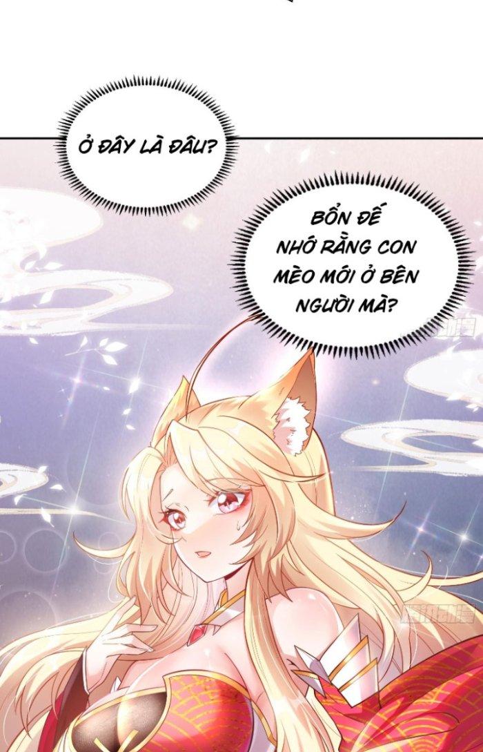 Thần Cấp Khế Ước: Bắt Đầu Từ Một Con Mèo Chapter 1 - Trang 2