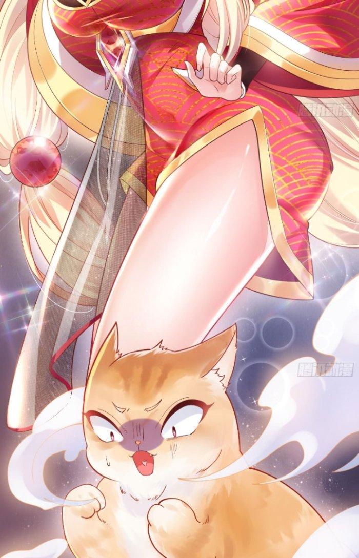 Thần Cấp Khế Ước: Bắt Đầu Từ Một Con Mèo Chapter 1 - Trang 2