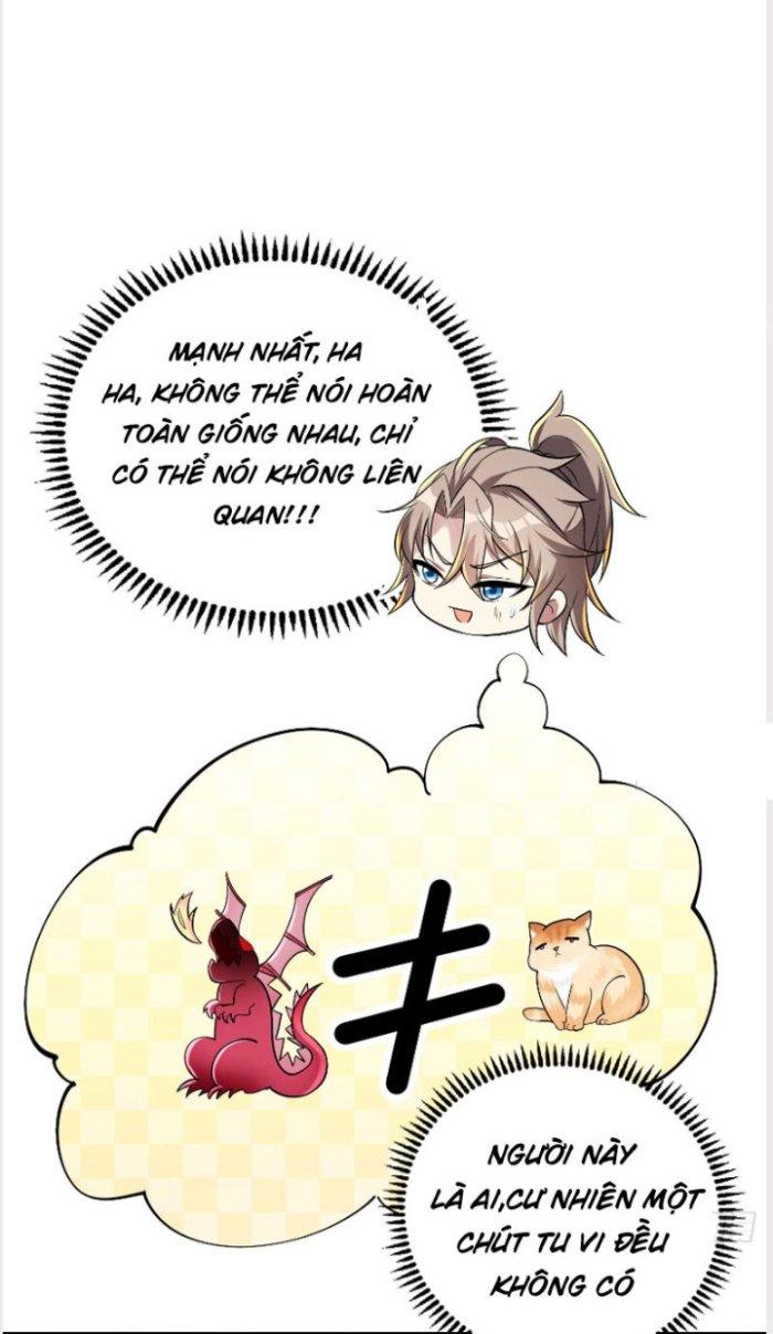 Thần Cấp Khế Ước: Bắt Đầu Từ Một Con Mèo Chapter 2 - Trang 2