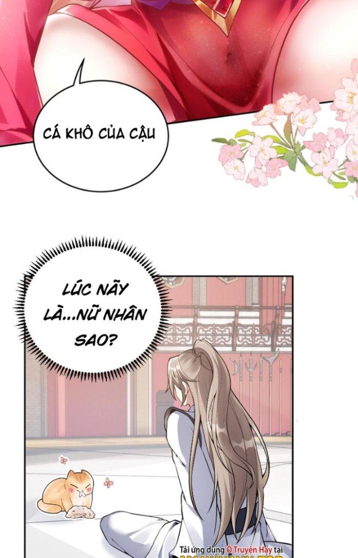 Thần Cấp Khế Ước: Bắt Đầu Từ Một Con Mèo Chapter 2 - Trang 2