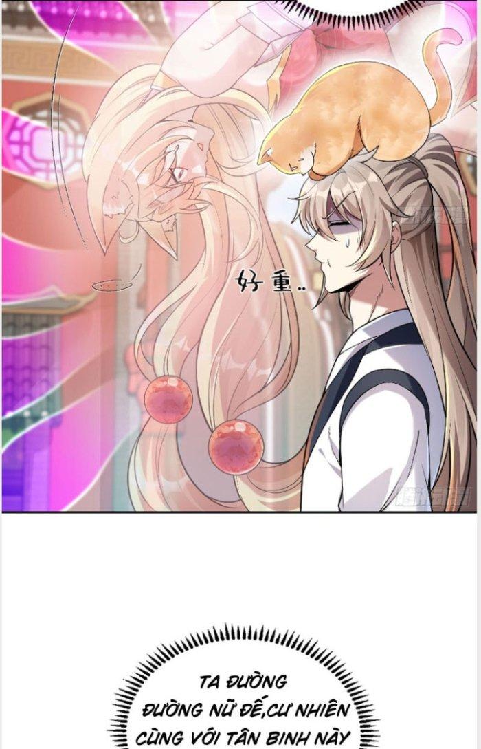 Thần Cấp Khế Ước: Bắt Đầu Từ Một Con Mèo Chapter 2 - Trang 2