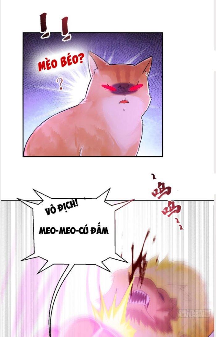 Thần Cấp Khế Ước: Bắt Đầu Từ Một Con Mèo Chapter 2 - Trang 2