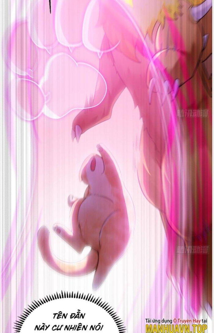 Thần Cấp Khế Ước: Bắt Đầu Từ Một Con Mèo Chapter 2 - Trang 2