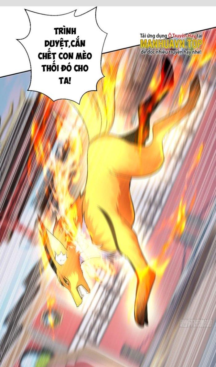 Thần Cấp Khế Ước: Bắt Đầu Từ Một Con Mèo Chapter 3 - Trang 2