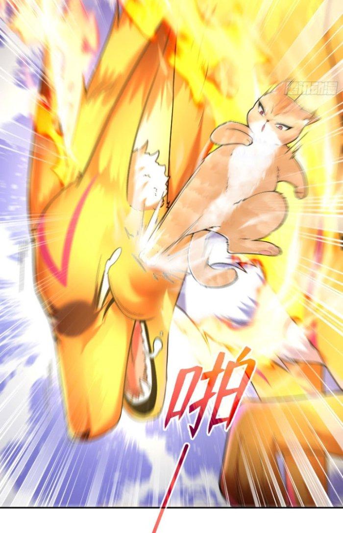 Thần Cấp Khế Ước: Bắt Đầu Từ Một Con Mèo Chapter 3 - Trang 2