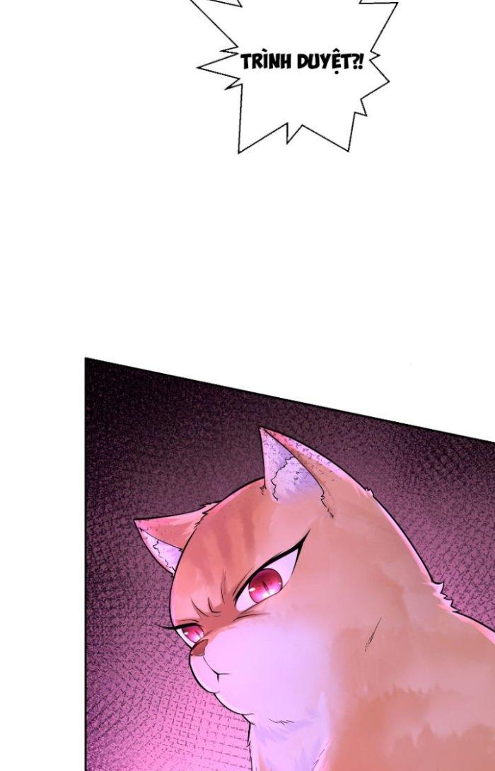 Thần Cấp Khế Ước: Bắt Đầu Từ Một Con Mèo Chapter 3 - Trang 2