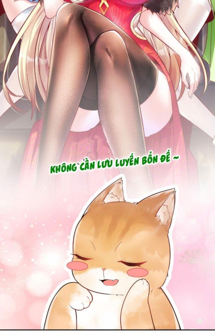 Thần Cấp Khế Ước: Bắt Đầu Từ Một Con Mèo Chapter 4 - Trang 2