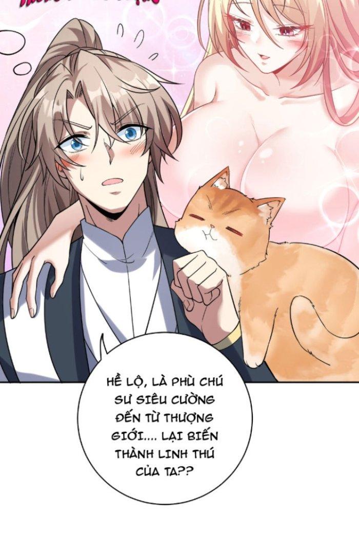 Thần Cấp Khế Ước: Bắt Đầu Từ Một Con Mèo Chapter 4 - Trang 2