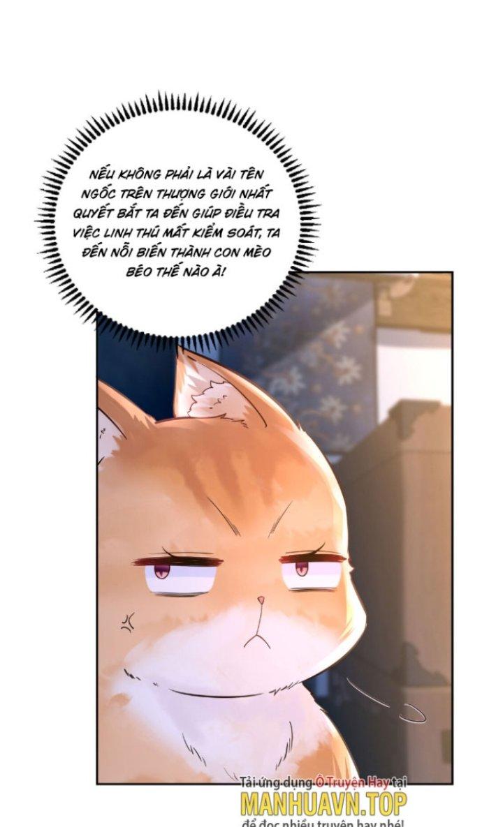 Thần Cấp Khế Ước: Bắt Đầu Từ Một Con Mèo Chapter 4 - Trang 2