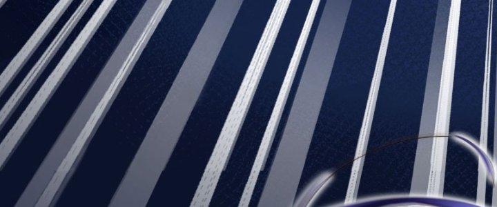 Tùy Tùng Của Nữ Phản Diện Chapter 4 - Trang 2