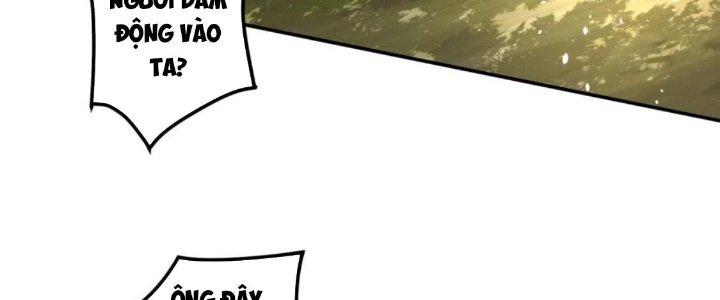 Ta Thật Không Muốn Cùng Chưởng Môn Yêu Đương Chapter 19 - Trang 2