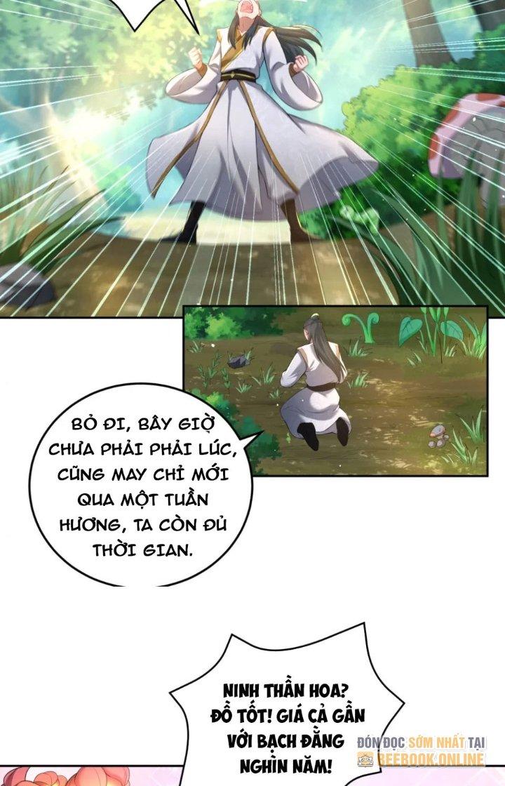 Ta Thật Không Muốn Cùng Chưởng Môn Yêu Đương Chapter 20 - Trang 2