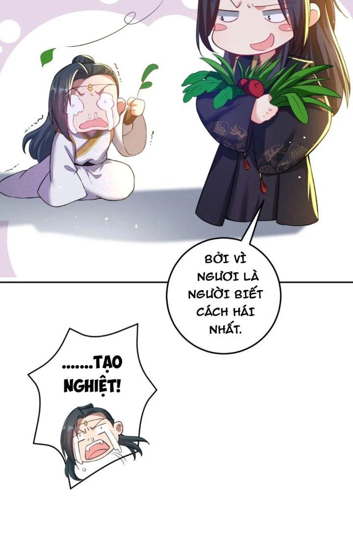 Ta Thật Không Muốn Cùng Chưởng Môn Yêu Đương Chapter 20 - Trang 2