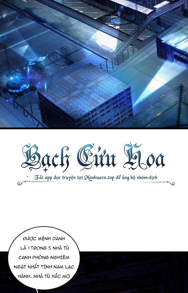 Đại Lão Nãy Có Chút Cẩu Thả, Náo Động Cả Thiên Khởi Chapter 22 - Trang 2