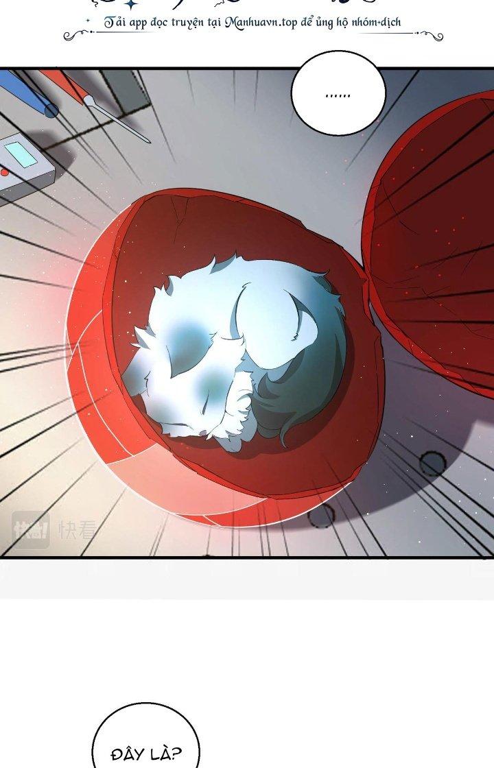 Đại Lão Nãy Có Chút Cẩu Thả, Náo Động Cả Thiên Khởi Chapter 22 - Trang 2