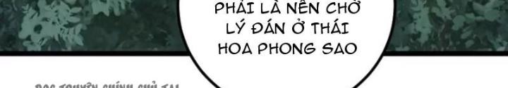 Tự Kỷ Luật Ta Đây Bất Khả Chiến Bại Chapter 126 - Trang 4