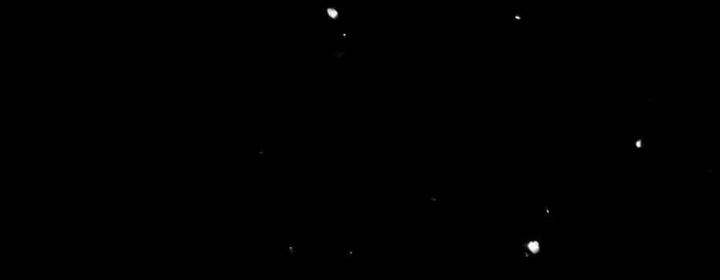 Rõ Ràng Tôi Chỉ Muốn Chơi Game, Xin Đừng Kéo Tôi Vào Lĩnh Vực Tình Yêu Chapter 42 - Trang 2