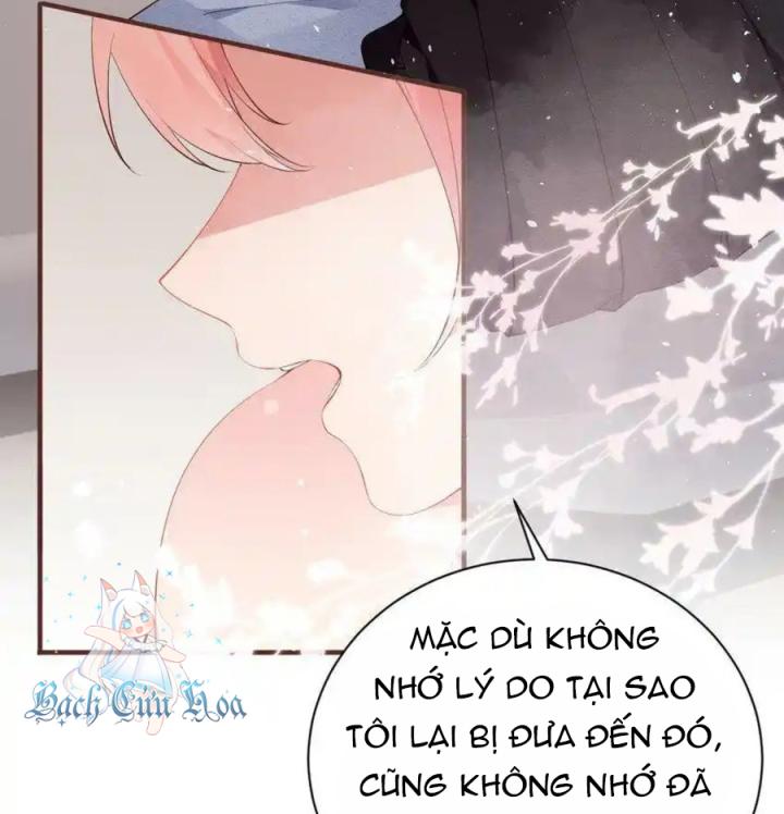 Rõ Ràng Tôi Chỉ Muốn Chơi Game, Xin Đừng Kéo Tôi Vào Lĩnh Vực Tình Yêu Chapter 48 - Trang 2