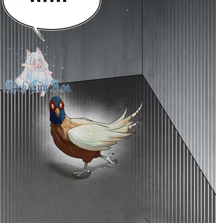 Võ Lâm Đệ Nhất Đầu Bếp Chapter 65 - Next Chapter 66