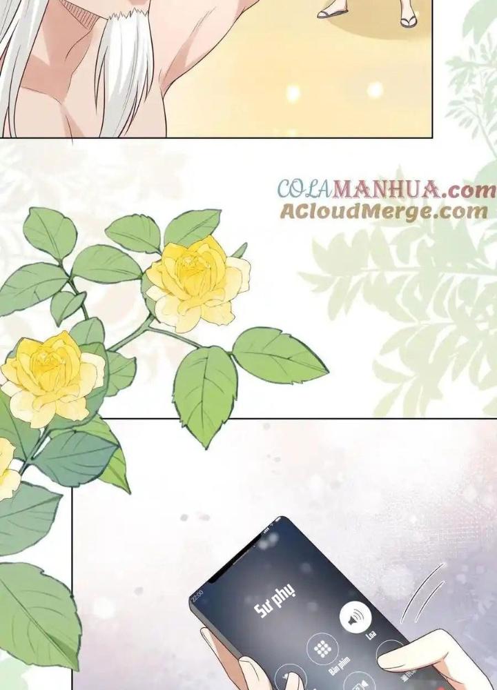 Tiểu Manh Bảo Bốn Tuổi Theo Sư Phụ Xuống Núi Chapter 334 - Trang 3