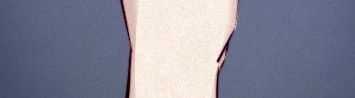 Trường Sinh Đạo Chapter 50 - Trang 2