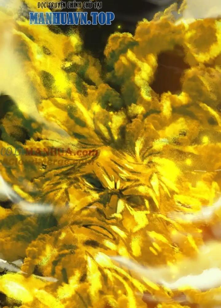 Tu Luyện Thành Tiên Ta Chỉ Muốn Nuôi Nữ Đồ Đệ Chapter 212 - Trang 3