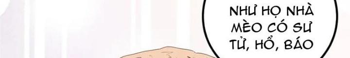 Lão Ba Cho Tôi Lựa Một Trong Mười Nữ Thần Để Kết Hôn Chapter 126 - Trang 4