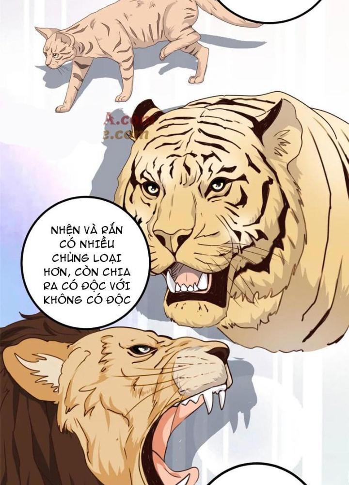 Lão Ba Cho Tôi Lựa Một Trong Mười Nữ Thần Để Kết Hôn Chapter 126 - Trang 4