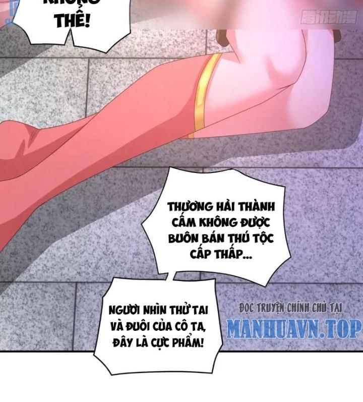 Bắt Đầu Đánh Dấu Bảy Vị Sư Tỷ Giúp Ta Bay Chapter 21 - Trang 2