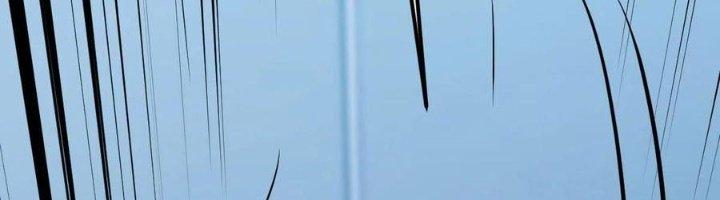 Trợ Lý Thánh Tôn, Ta Đã Vô Địch Chapter 85 - Trang 3