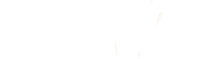 Trợ Lý Thánh Tôn, Ta Đã Vô Địch Chapter 85 - Trang 3