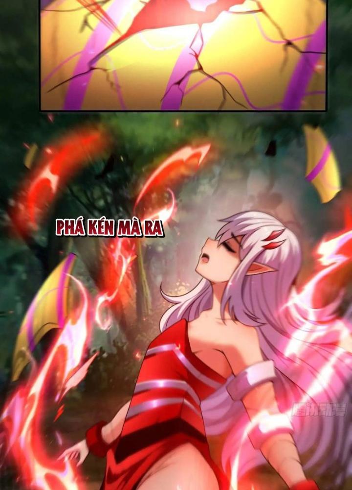 Cẩu Lương Thành Chuẩn Thánh, Ta Được Nữ Đế Triệu Hoán Chapter 79 - Trang 3