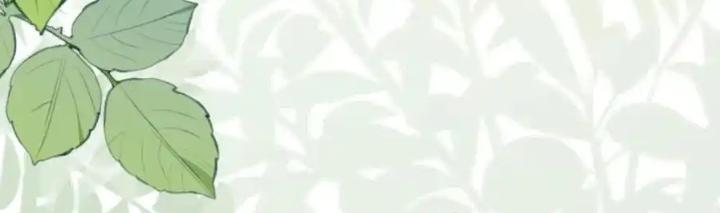 Tiểu Manh Bảo Bốn Tuổi Theo Sư Phụ Xuống Núi Chapter 335 - Trang 3