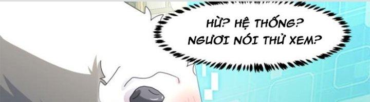 Trọng Sinh Thành Chó Của Nữ Thần Chapter 295 - Trang 3