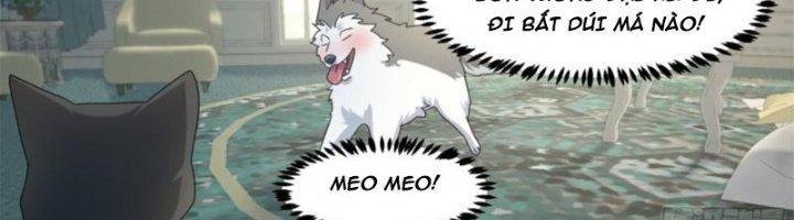 Trọng Sinh Thành Chó Của Nữ Thần Chapter 295 - Trang 3