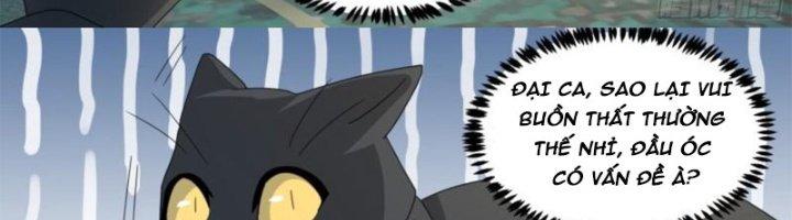 Trọng Sinh Thành Chó Của Nữ Thần Chapter 295 - Trang 3