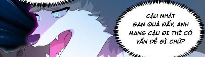 Trọng Sinh Thành Chó Của Nữ Thần Chapter 295 - Trang 3