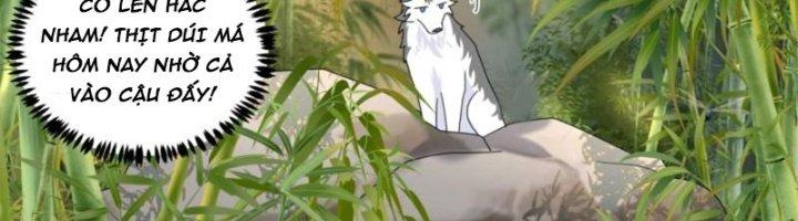 Trọng Sinh Thành Chó Của Nữ Thần Chapter 295 - Trang 3