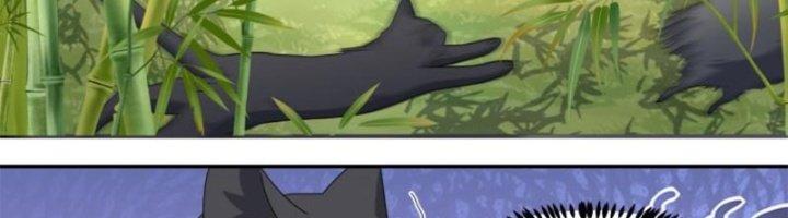 Trọng Sinh Thành Chó Của Nữ Thần Chapter 295 - Trang 3