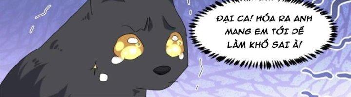 Trọng Sinh Thành Chó Của Nữ Thần Chapter 295 - Trang 3